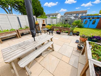 Picture 41